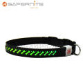 Nighttime Led Flashing Light Up Dog Collar recarregável